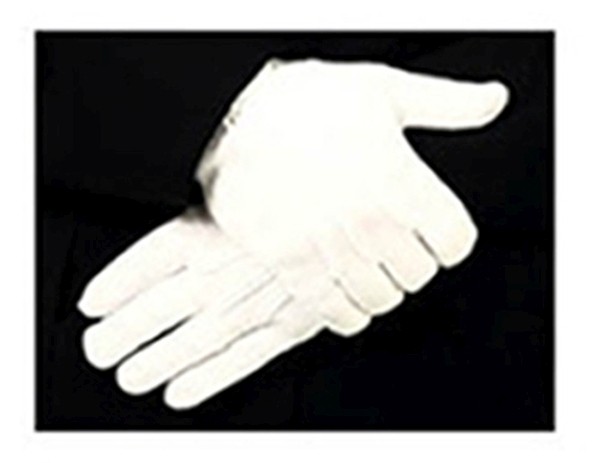 8780W Parade Gloves, Nylon Stretch with Raised Pointing, Snap 