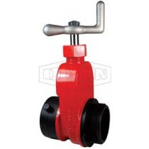 Akron Brass Pyrolite 2way Gated Hydrant # 1582 for sale online 