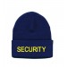 Navy Gold Security